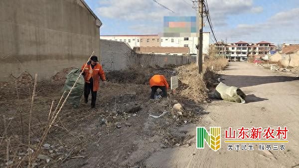 即墨区蓝村街道：综合整治不停歇，描绘美丽新家园