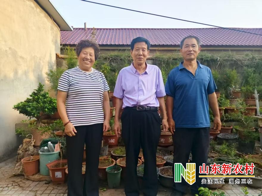 赋石榴以诗魂的园艺师