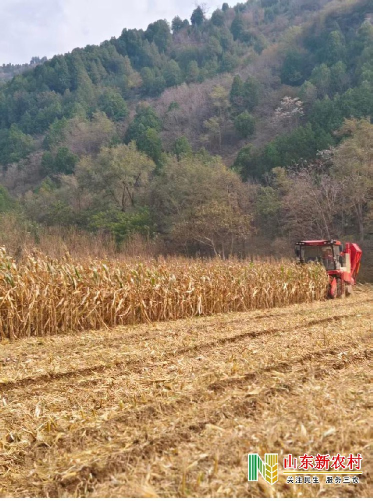归乡承孝路 沃野拓新程  ——大学生回乡创业纪实